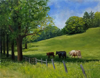 Sue Ciccone paintings at Station Gallery