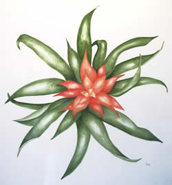 Brenda Aiken botanical watercolors at Station Gallery