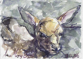 Anna Biggs watercolors at Station Gallery