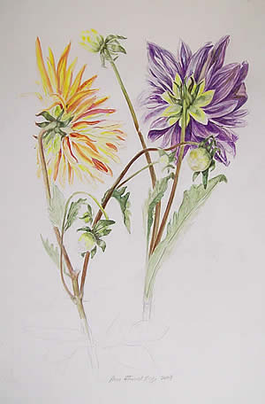 Ann A. Biggs watercolors at Station Gallery
