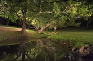 "Night Stream, Valley Garden Park"  20 x 30