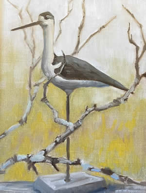 Nancy West paintings at Station Gallery