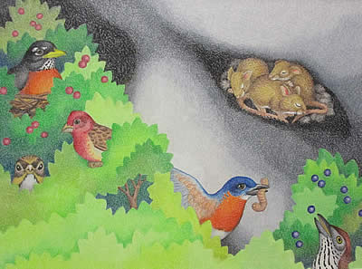 Nancy Carol Willis illustrations at Station Gallery